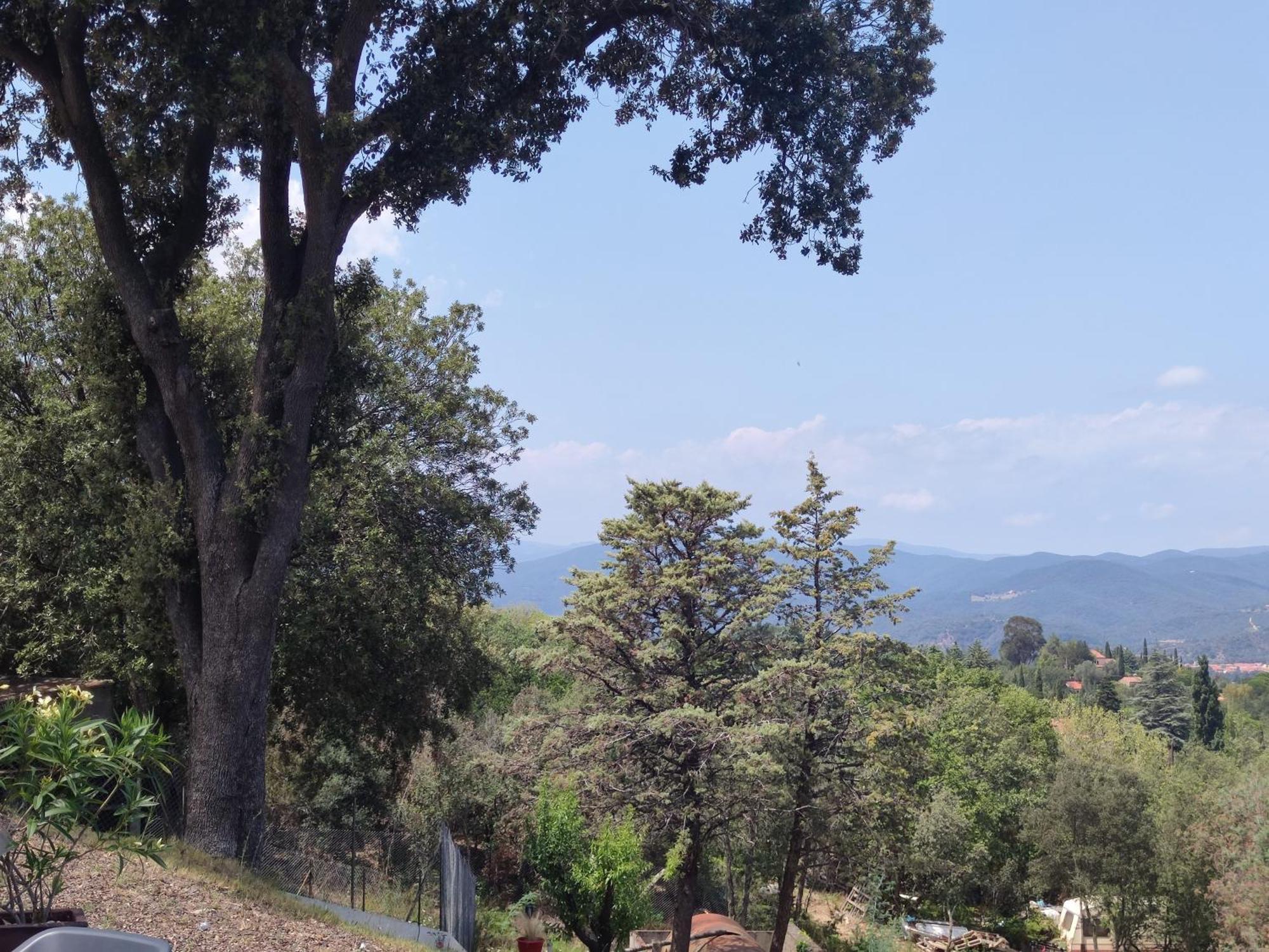 Le Havre De Paix Villa Céret Kültér fotó